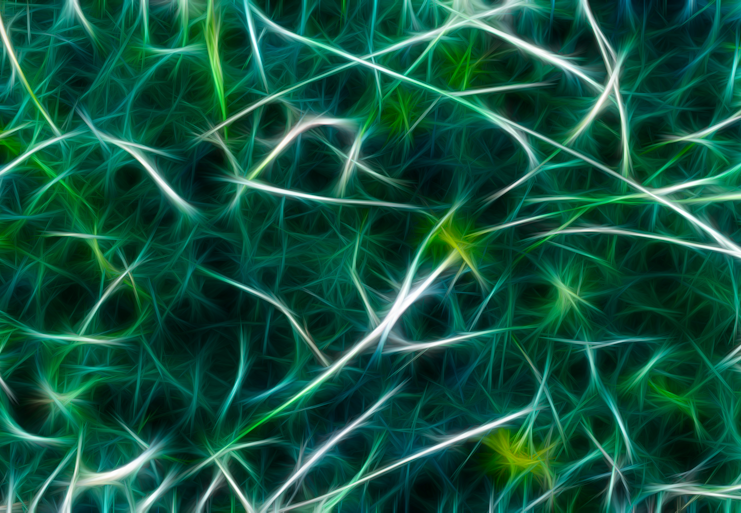 Fibrotic and Metabolic Disorder Discovery Programs